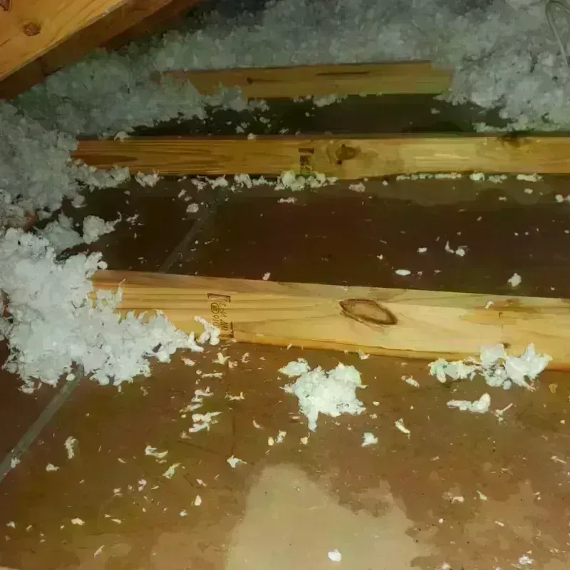 Attic Water Damage in Jerome, IL