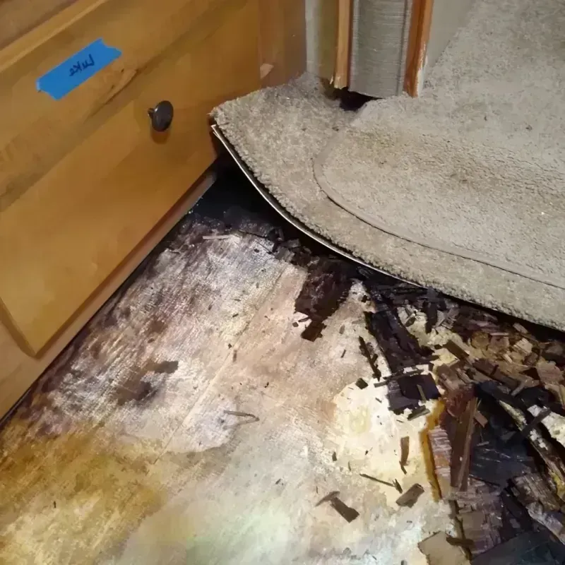 Wood Floor Water Damage in Jerome, IL